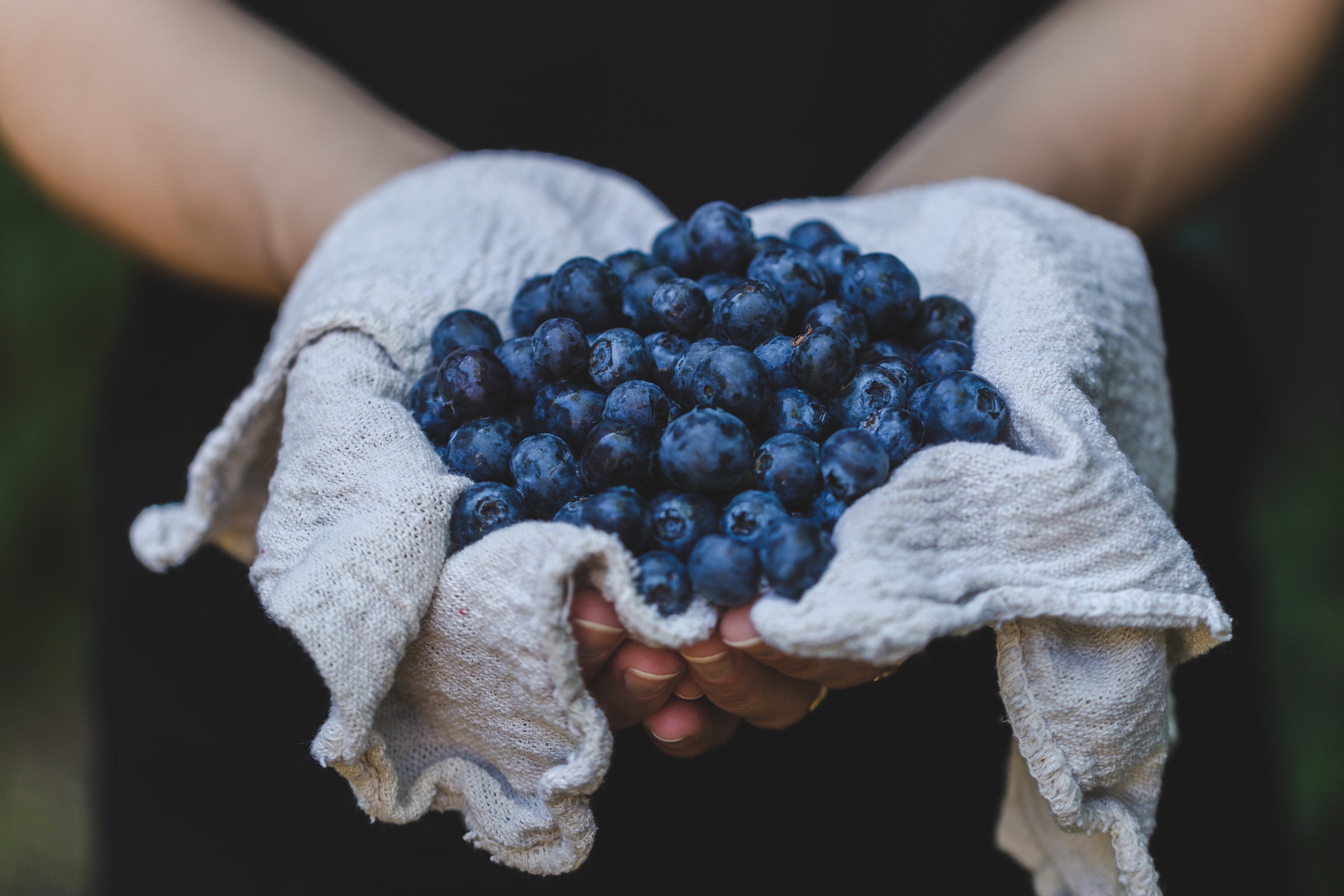 delicious looking blueberries held in a white cloth indicating the benefits of antioxidants